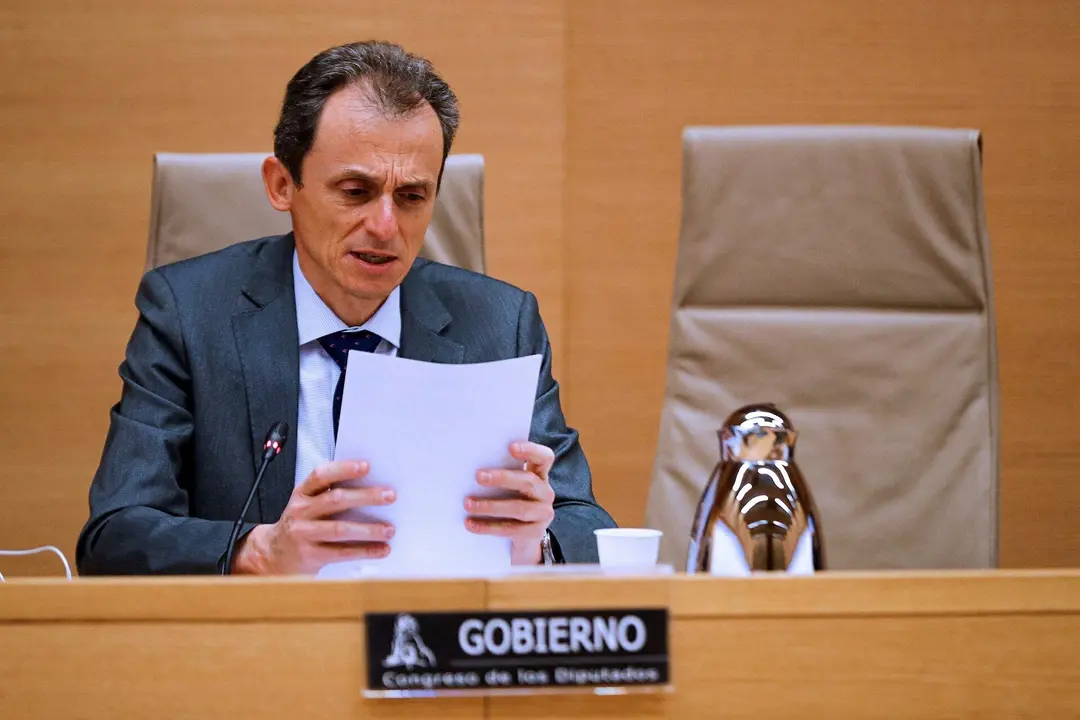 El ministro de Ciencia e Innovaci&oacute;n, Pedro Duque 