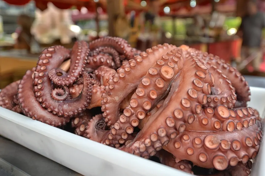 Cooked octopus