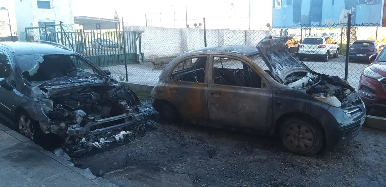 84163321_1969011106563345_4855637726857423149_o