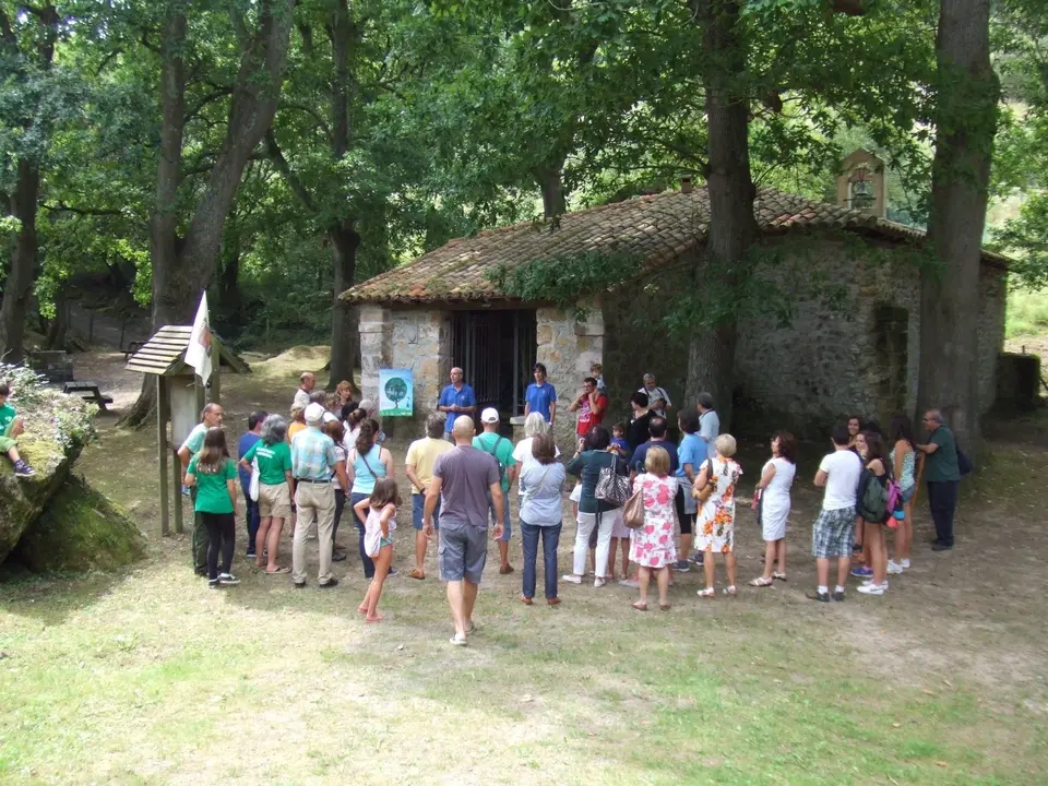 Visitas guiadas al arboreto de Liendo