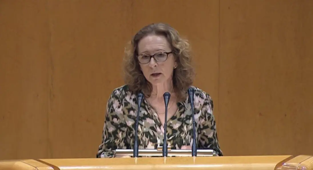 La senadora del PSOE por Cantabria Isabel Fern&aacute;ndez