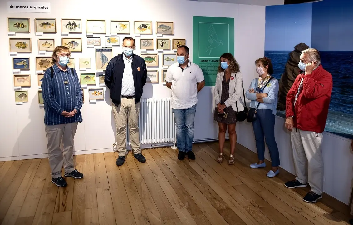 Cultura Exposici&oacute;n Peces