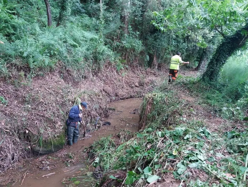 Limpieza de los m&aacute;rgenes del r&iacute;o