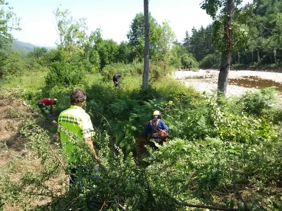 Labores de limpieza de la CHC del r&iacute;o Saja, en Ter&aacute;n de Cabu&eacute;rniga. Archivo