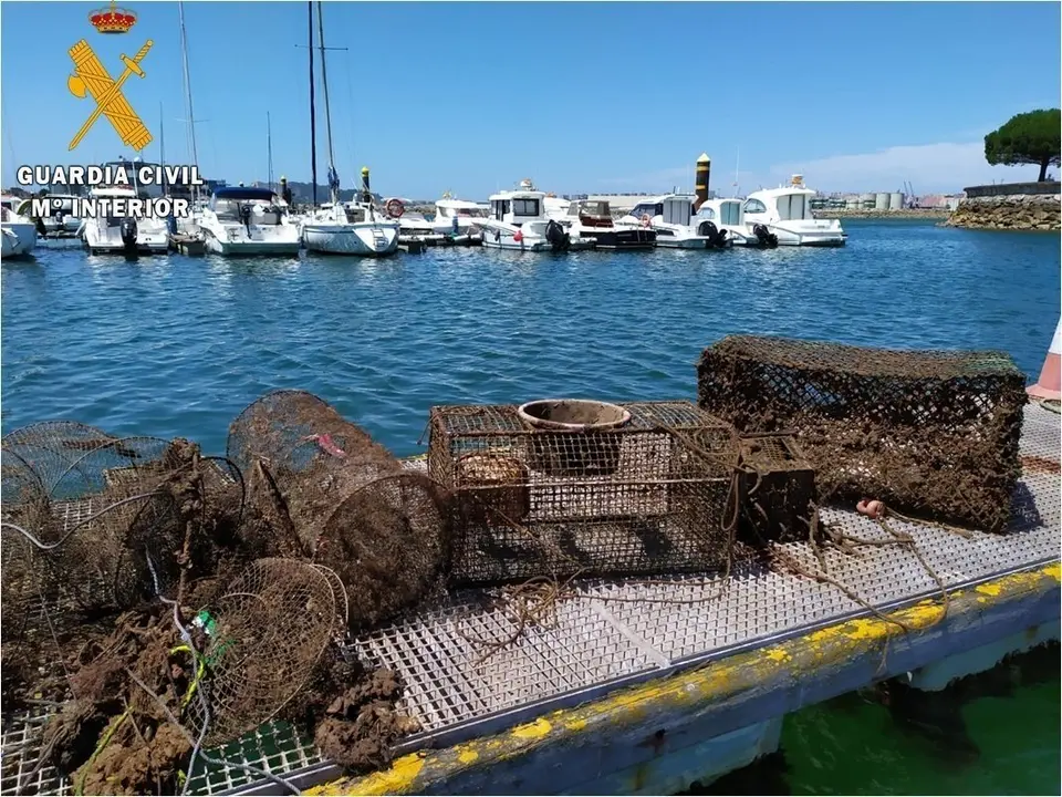 Nota De Prensa La Guardia Civil Desmantela Un Nuevo Vivero Clandestino