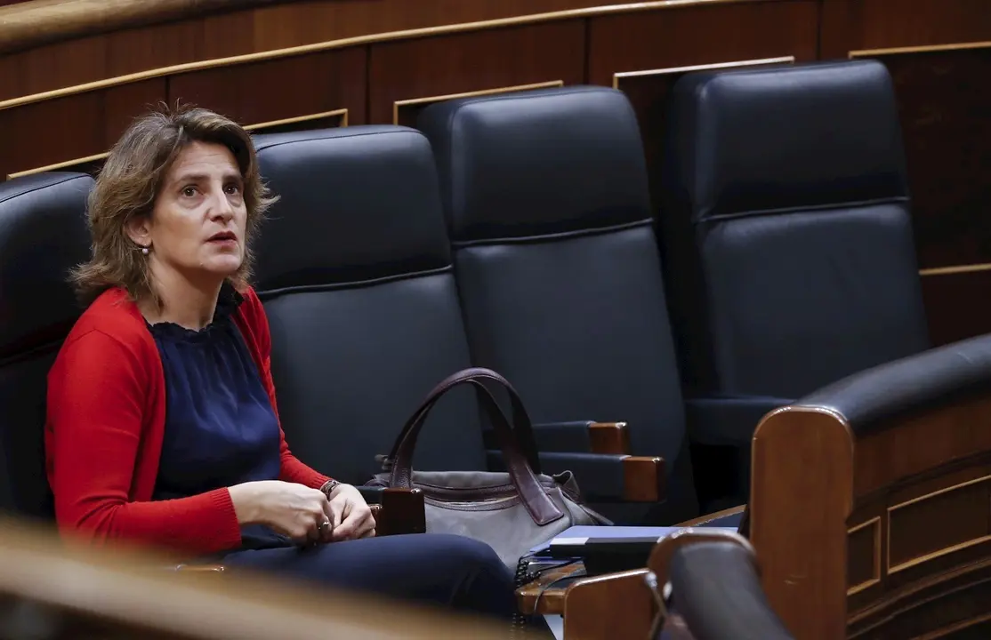 La vicepresidenta cuarta y ministra para la Transici&oacute;n Ecol&oacute;gica, Teresa Ribera , durante una sesi&oacute;n del Pleno del Congreso