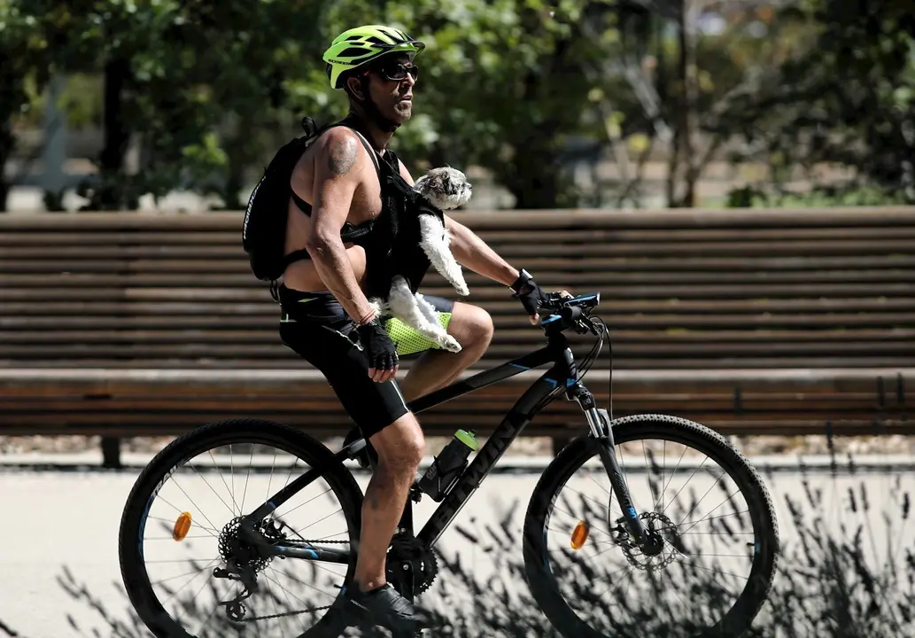 Un hombre pase en bicicleta con su perro en el Parque Madrid R&iacute;o, a 29 de julio de 2020. Una ola de calor llegar&aacute; ma&ntilde;ana a la Pen&iacute;nsula y Baleares, dejando temperaturas de 40&ordm;C en amplias zonas hasta por lo menos el s&aacute;bado, seg&uacute;n el aviso especial que emi