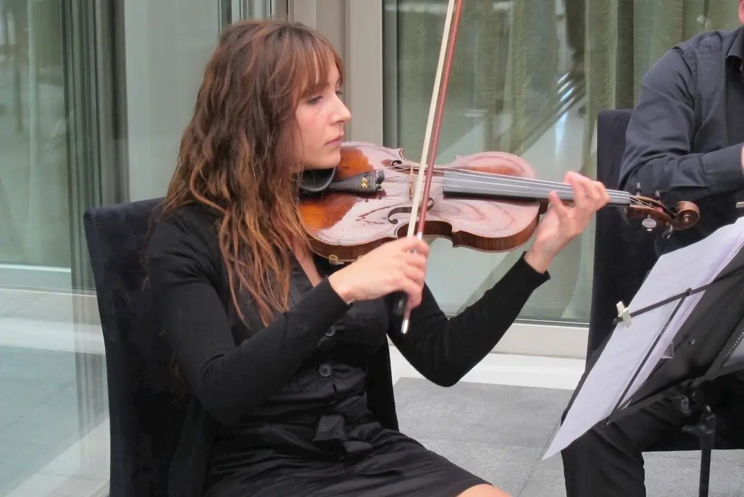 Una Mujer Tocando El Viol&iacute;n