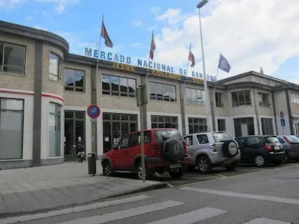 fotonoticia_20111212133604_420