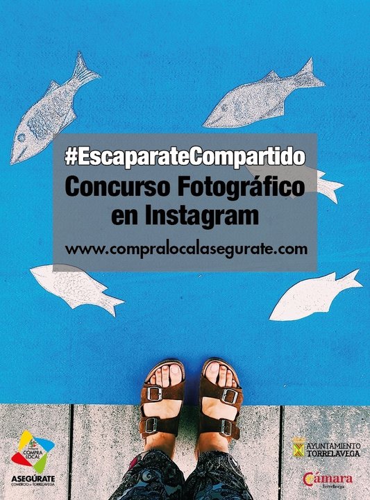 Nota Concurso Fotográfico 'Escaparate Compartido