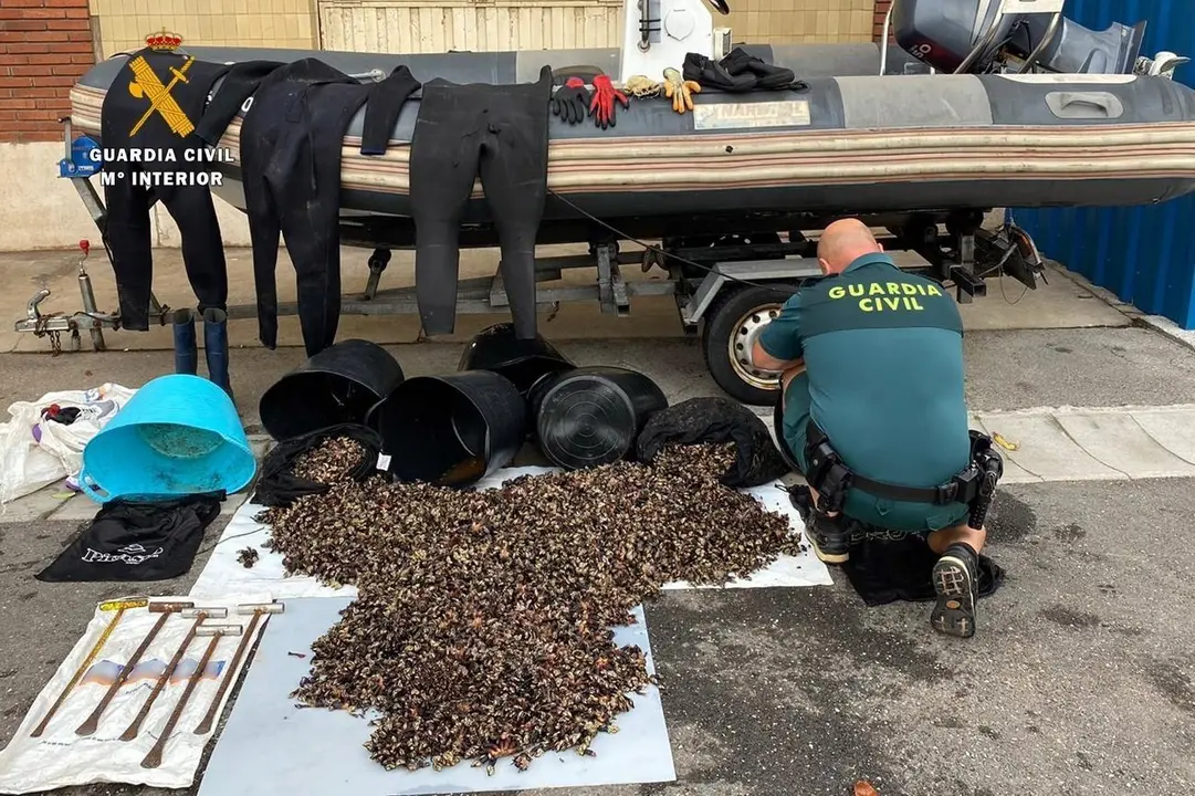 Nota De Prensa La Guardia Civil Incauta M&aacute;s De 100 Kg De Percebes