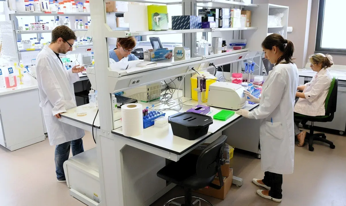 Equipo de investigaci&oacute;n de la UC