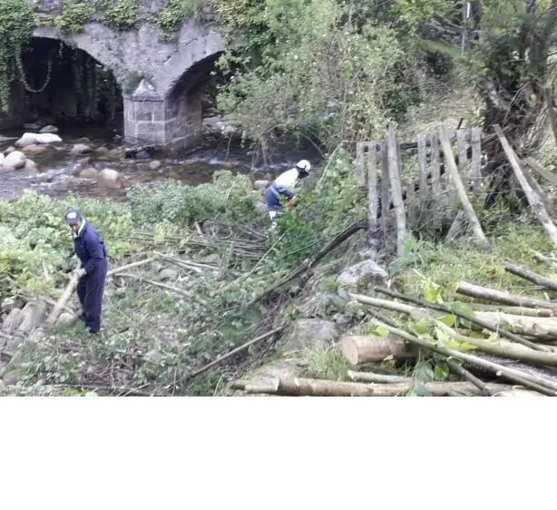 Actuaci&oacute;n en Luena