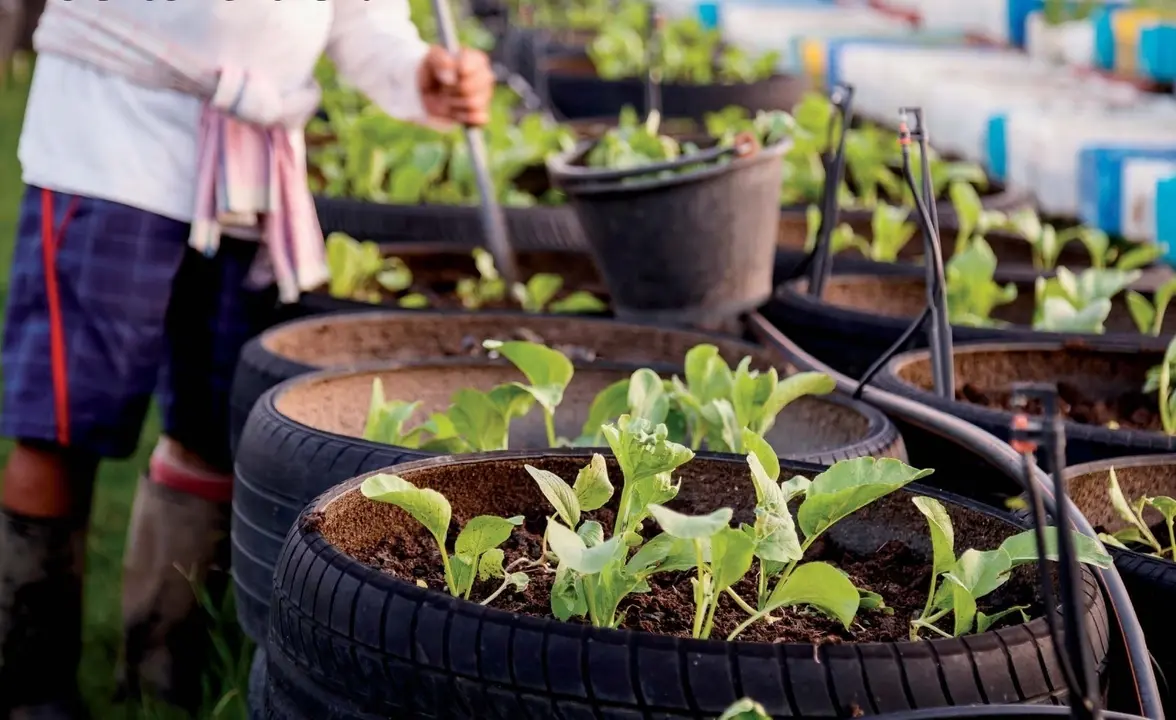 Imagen de un uso para neum&aacute;ticos reciclados