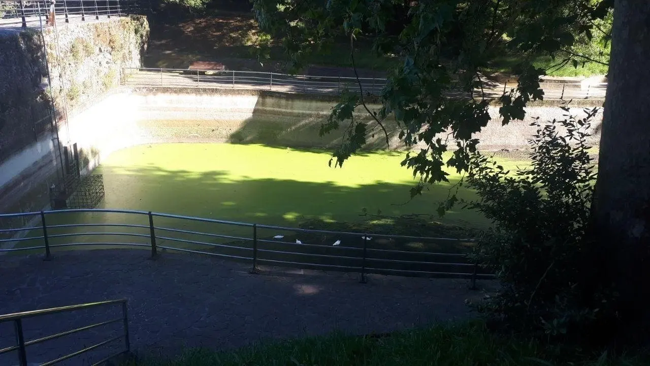 Estanque de Matale&ntilde;as