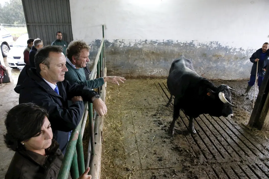 El consejero de Gander&iacute;a, Guillermo Blanco