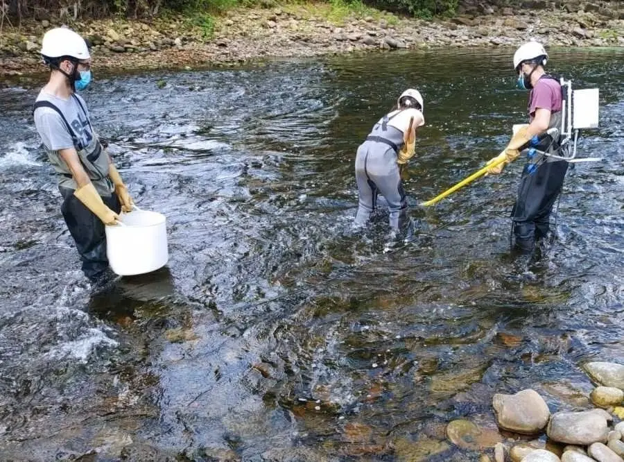 Actuaci&oacute;n de la CHCantabrico en Barcenilla