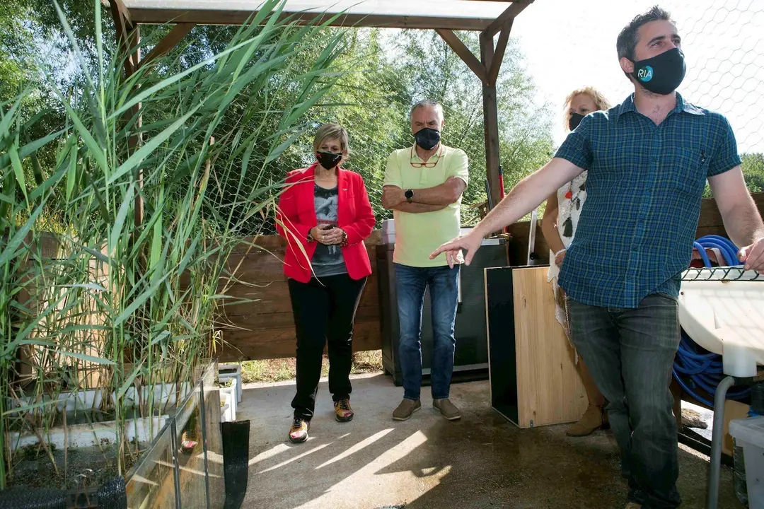 La alcaldesa de Camargo y Diego Cicero de Ria presentan los avances del proyecto de I+D+i para descontaminar la r&iacute;a del Carmen con la ayuda del carrizo