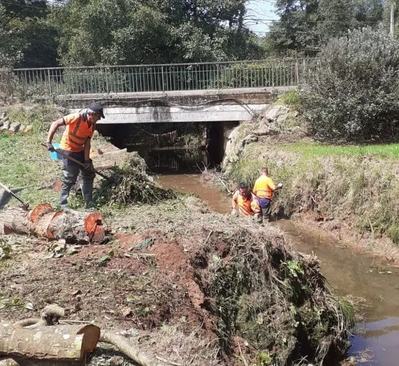 La CHCant&aacute;brico realiza acciones de conservaci&oacute;n en el arroyo Ruise&ntilde;ada
