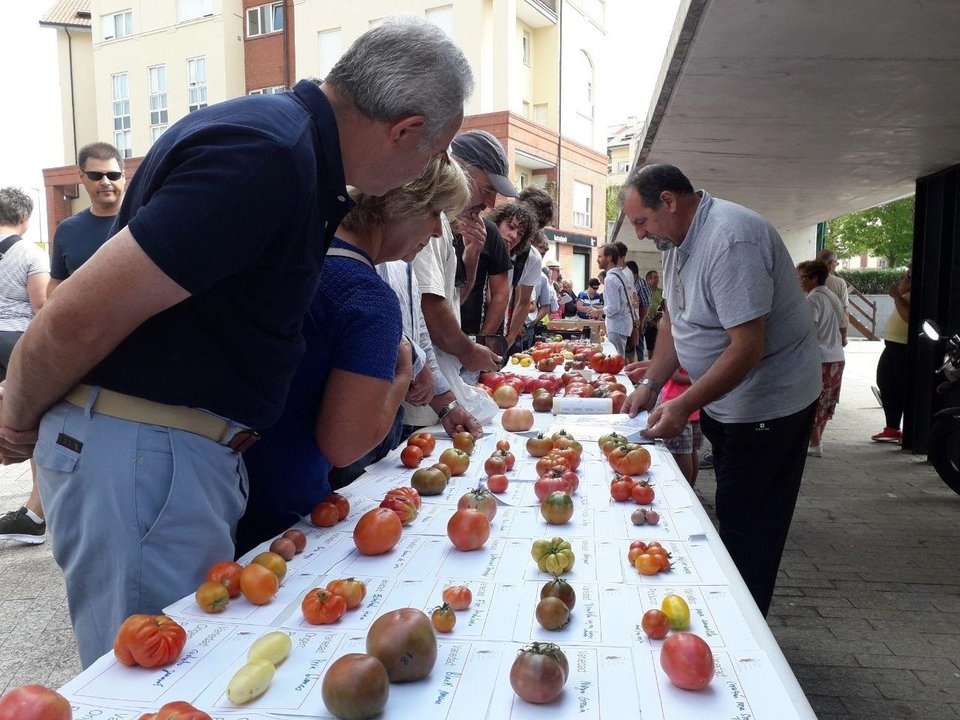 Feria del Tomate 2019