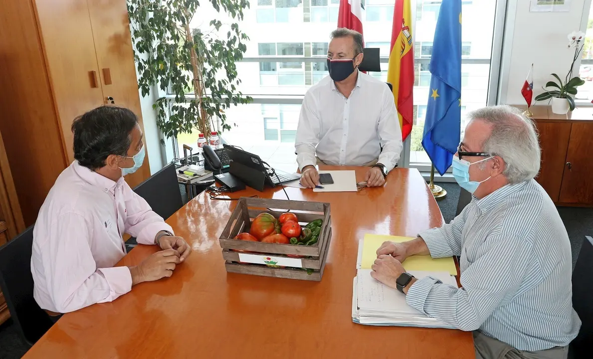 11:00 Horas  Sala De Reuniones De La Consejer&iacute;a (Tercera Planta)El Consejero De Desarrollo Rural, Ganader&iacute;a, Pesca, Alimentaci&oacute;n Y Medio Ambiente, Guillermo Blanco, Se Re&uacute;ne Con Representantes De La Cofrad&iacute;a Del Pimiento Y El Tomate. 18 Agosto 2020