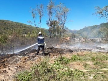 Extinción incendio forestal