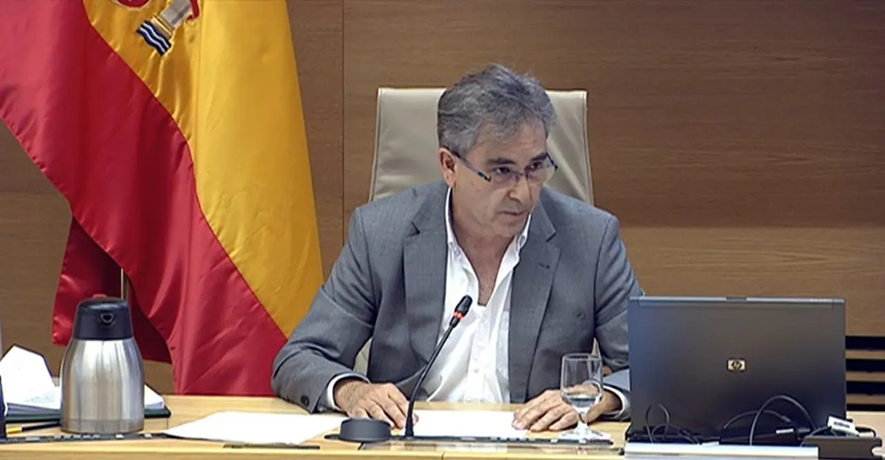 El presidente del Sindicato de Enfermer&iacute;a (Satse), Manuel Cascos, en su comparecencia en el Grupo de Trabajo de Sanidad y Salud P&uacute;blica de la Comisi&oacute;n para la Reconstrucci&oacute;n Social y Econ&oacute;mica del Congreso de los Diputados