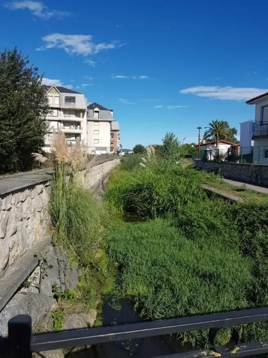 El PP insta al Ayuntamiento de Colindres a reclamar al de Laredo que termine la limpieza del regato Madre