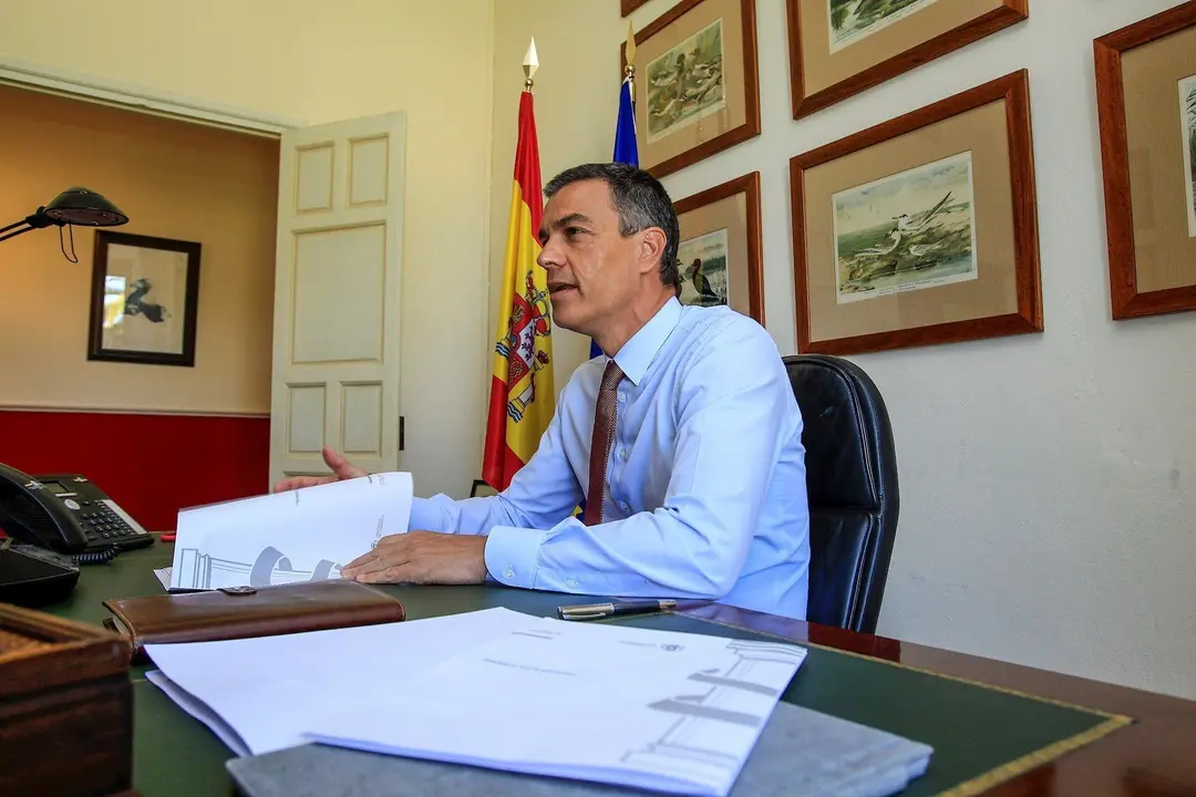 El presidente del Gobierno, Pedro S&aacute;nchez