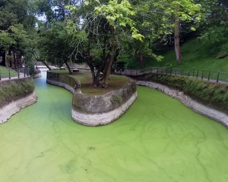 Estanque del prque de Matale&ntilde;as
