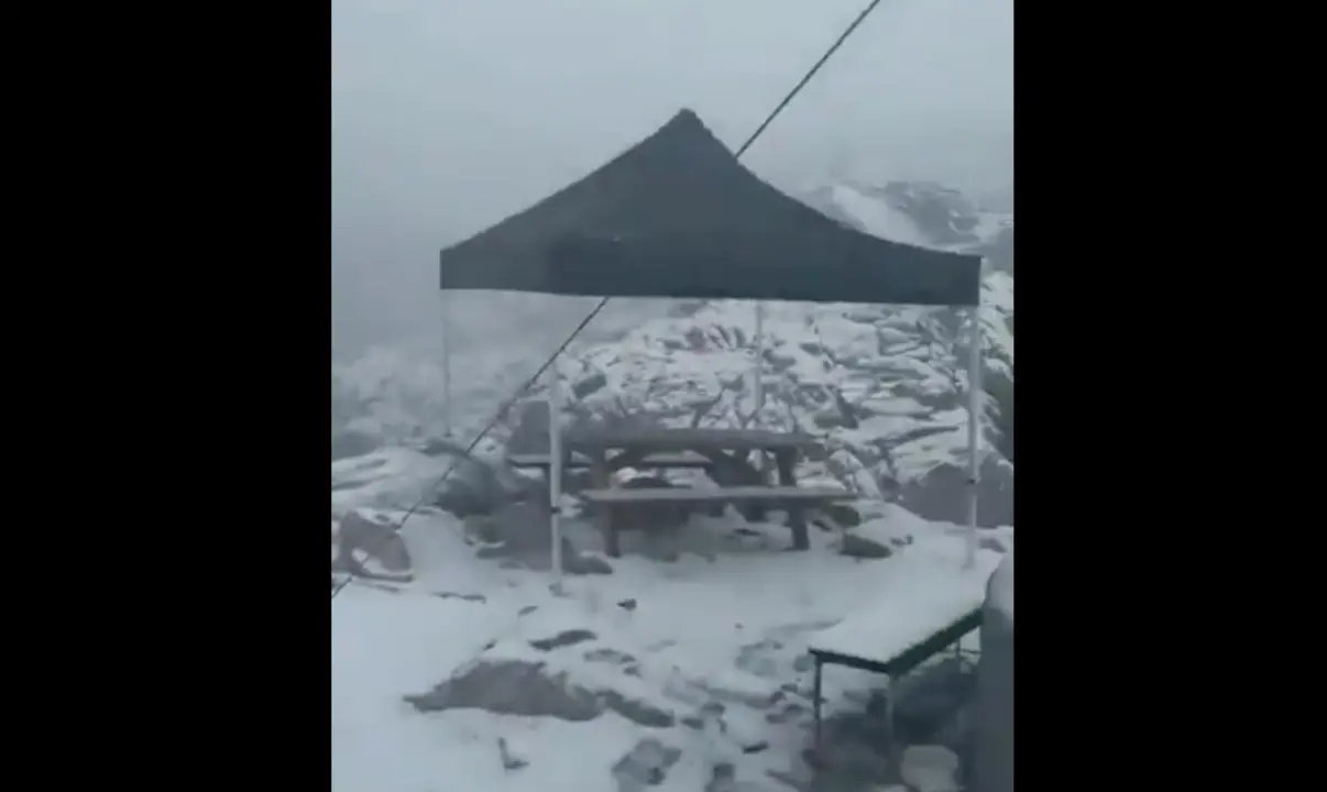 Nieve Caba&ntilde;a Ver&oacute;nica 29 Agosto 2020