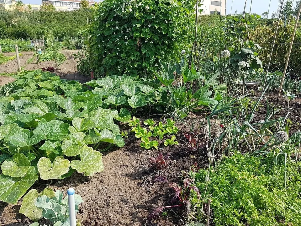 Huertos de Torrelavega