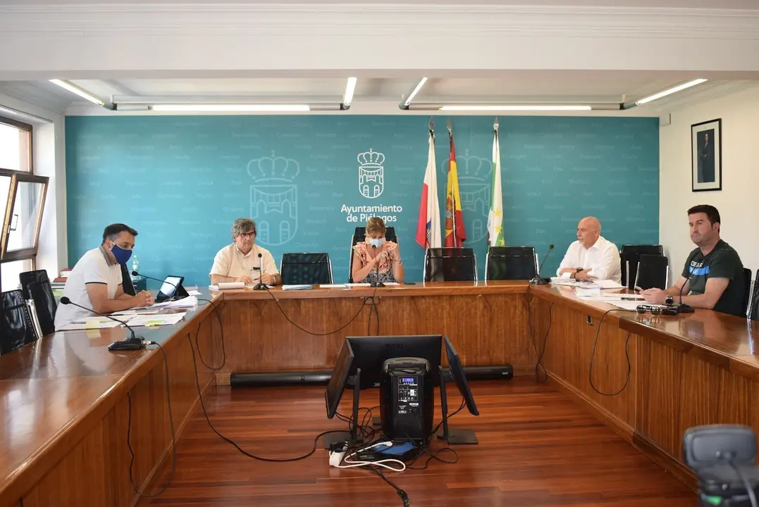 Pleno del Ayuntamiento de Pi&eacute;lagos