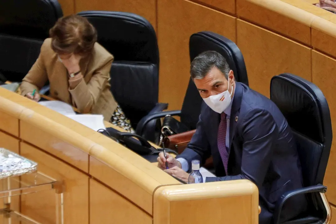 El presidente del Gobierno, Pedro S&aacute;nchez, durante su comparecencia celebrada ante el Pleno del Senado