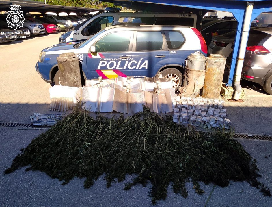 Plantación marihuana intervendia en Santander