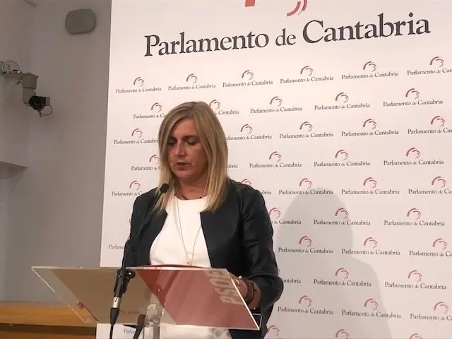 La secretaria de Organizaci&oacute;n del PSOE de Cantabria y portavoz del grupo socialista en el Parlamento regional, Noelia Cobo