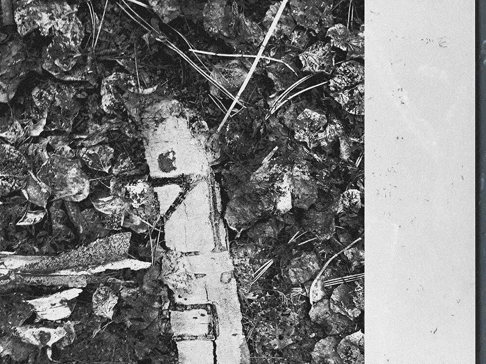 Exposici&oacute;n de Manuel Diego S&aacute;nchez