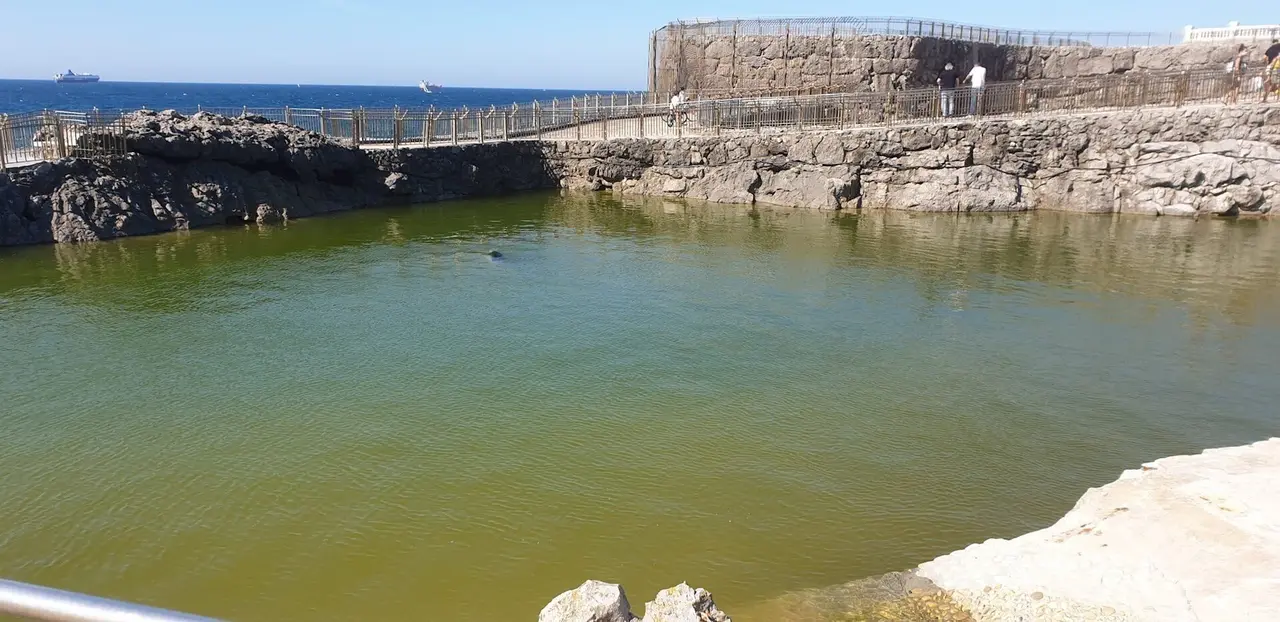 Minizoo de La Magdalena (Santander). Archivo