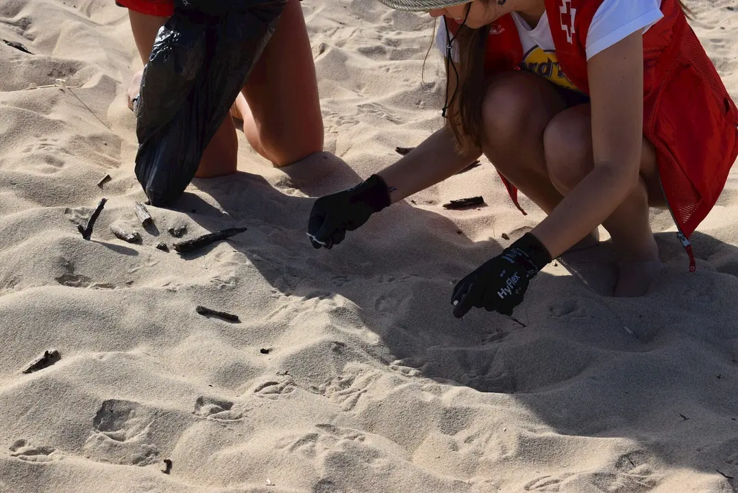 Limpieza de una playa