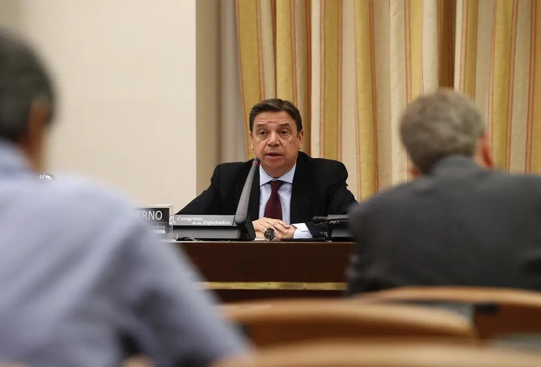 El ministro de Agricultura, Pesca y Alimentaci&oacute;n, Luis Planas, durante una comparecencia ante la comisi&oacute;n del ramo en el Congreso