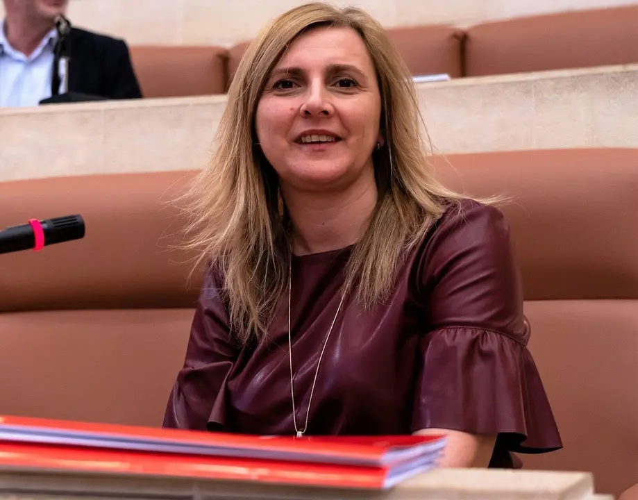 Cobo dice que los socialistas "cumplen con la hoja de ruta social en materia de empleo" 