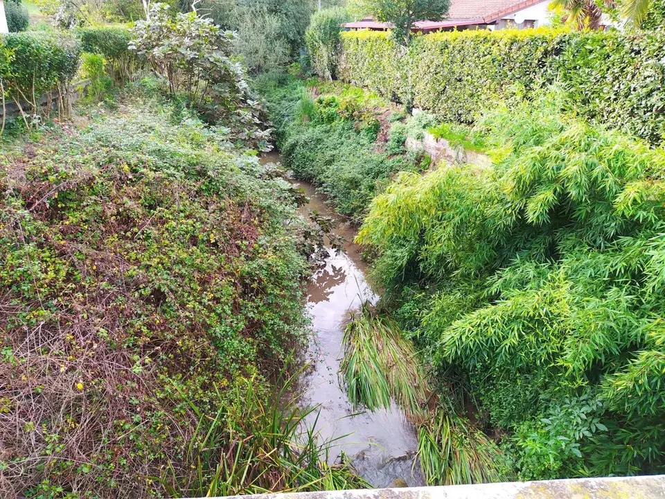 Limpieza en el r&iacute;o Cabo