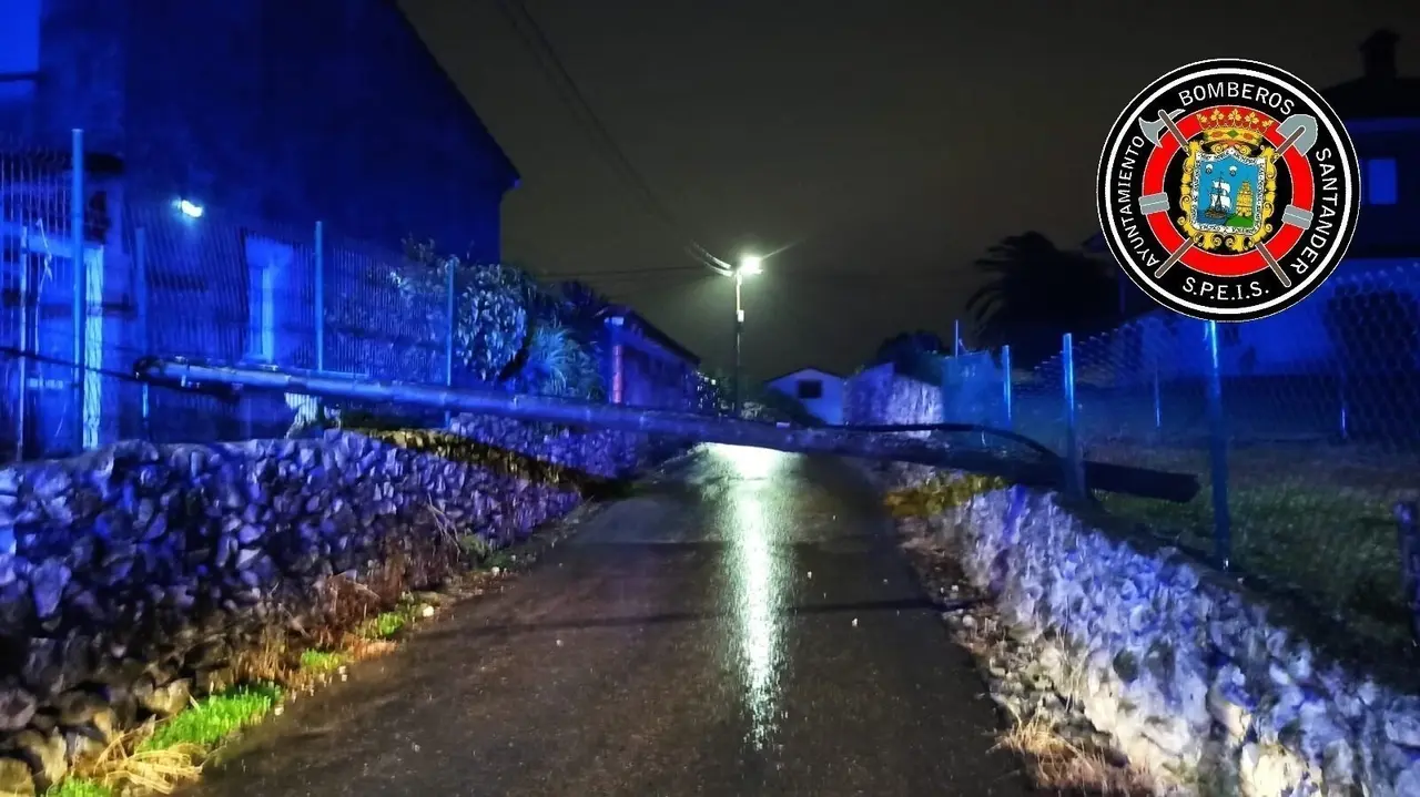 Arbol ca&iacute;do en Santander
