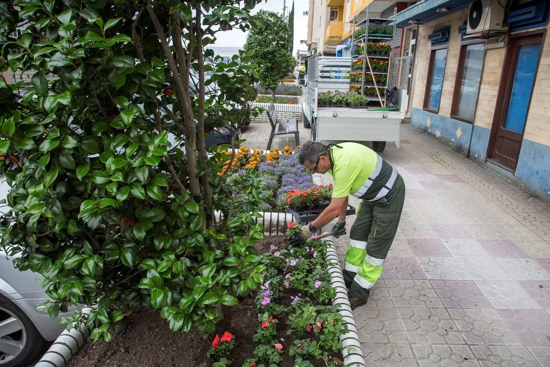 Plantaci&oacute;n de flores ornamentales en Camargo. Archivo