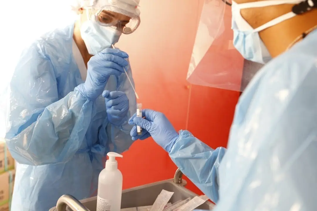 Realizaci&oacute;n y an&aacute;lisis de una prueba PCR.