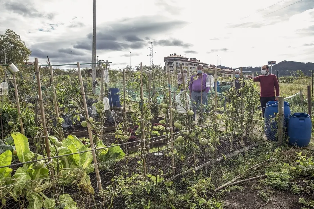 Nota Ma&ntilde;ana Finaliza Plazo Solicitud Huerto Urbano Torrelavega