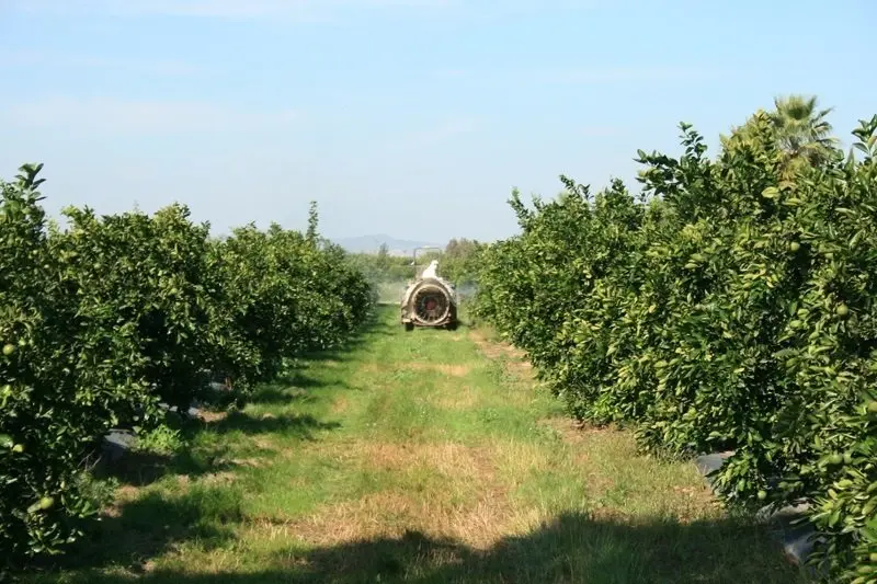 Agricultor en un campo