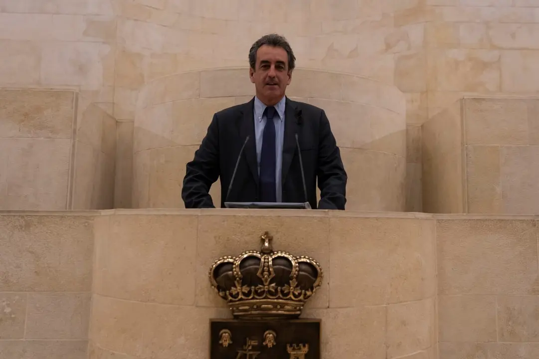 El consejero de Industria, Francisco Mart&iacute;n, en el Parlamento