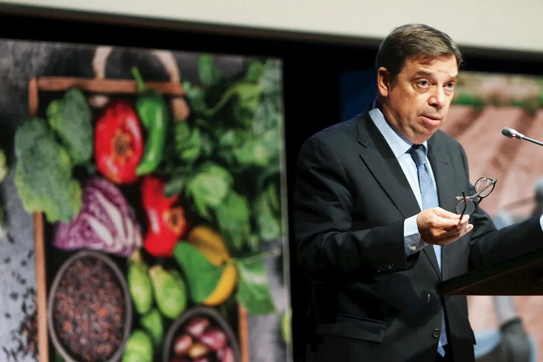 El ministro de Agricultura, Pesca y Alimentaci&oacute;n de Espa&ntilde;a, Luis Planas
