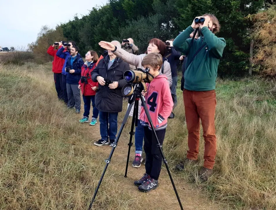 Observaci&oacute;n de aves en Noja